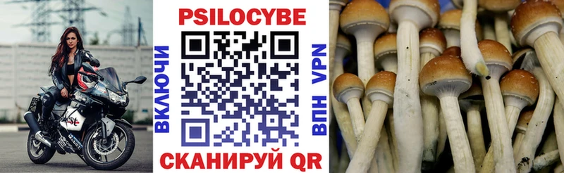 Галлюциногенные грибы мухоморы Лермонтов
